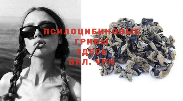 apvp Аркадак