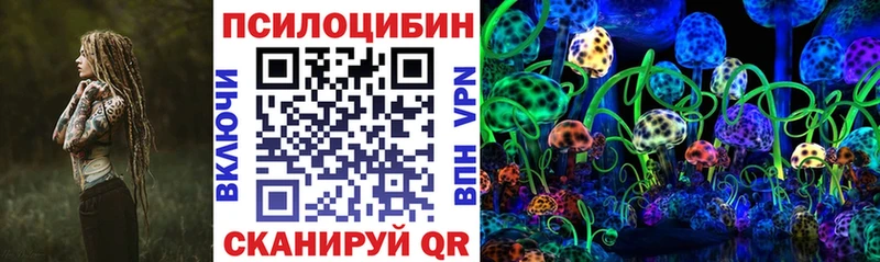 Псилоцибиновые грибы Cubensis  купить закладку  mega онион  Сухиничи 